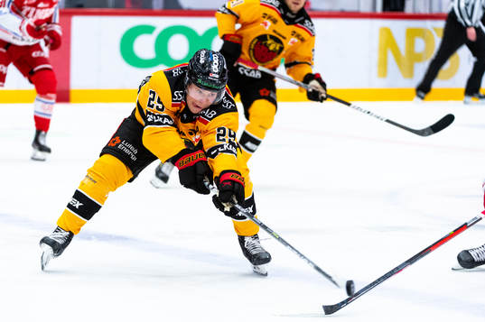 Luleås Erik Gustafsson