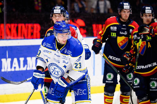 Leksands Mikael Ruohomaa