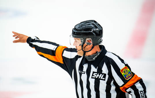Domare Mikael Nord