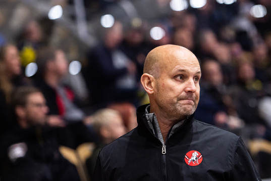 Vita Hästens tränare Tony Zabel
