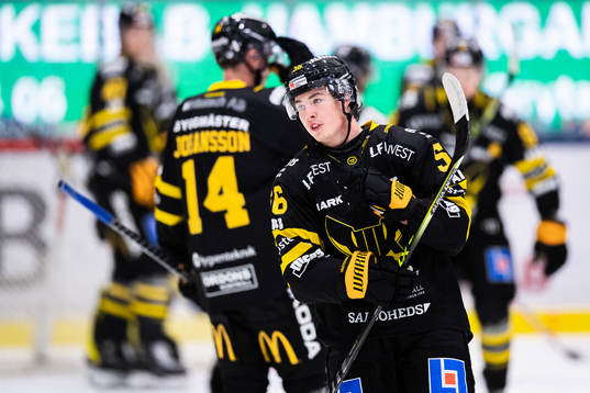 Västerås Alexander Lunsjö