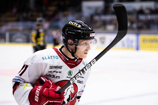 Vita Hästens Alexander Falk