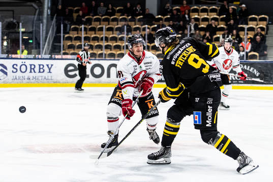 Vita Hästens Brandon Fehd