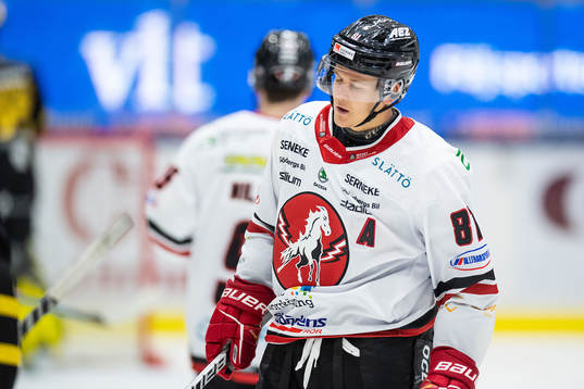 Vita Hästens Erik Borg deppar