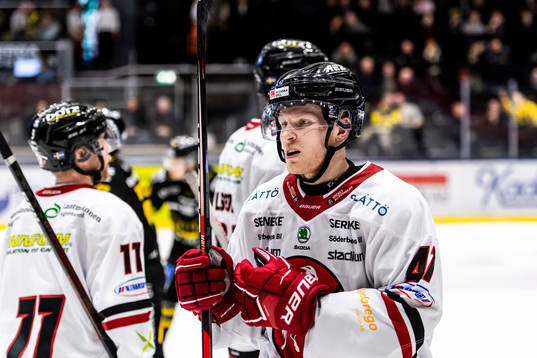 Vita Hästens Alexander Falk