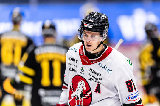 Vita Hästens Erik Borg