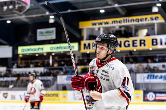 Vita Hästens Alexander Falk