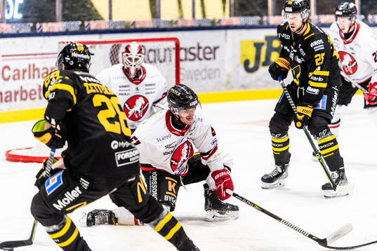 Vita Hästens Brandon Fehd