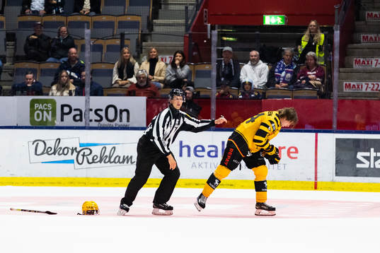 Skellefteås Jonathan Pudas utvisas