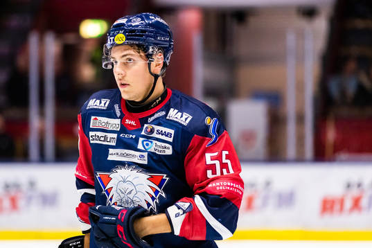 Linköpings Max Lindroth deppar