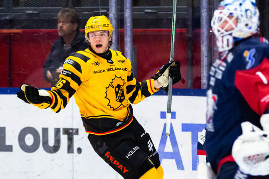 Skellefteås Rickard Hugg