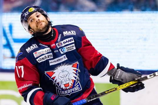 Linköpings Brian Gibbons deppar