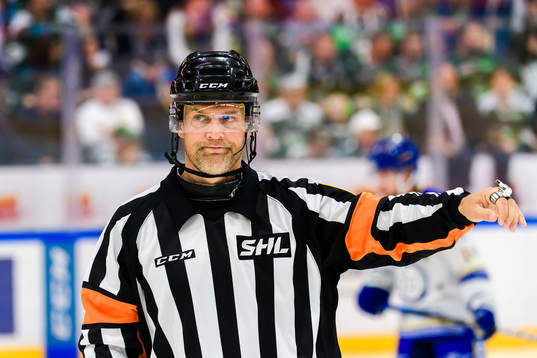 Domare Mikael Nord