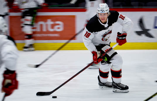 Malmö Redhawks Marcus Sylvegård