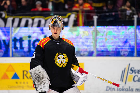 Brynäs målvakt Veini Vehviläinen