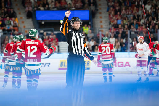 Domare Daniel Eriksson