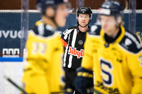 Domare Johan Wedin