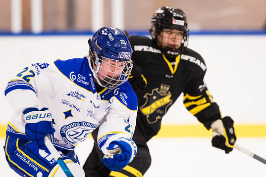 Bläddra bland fler bilder av Ishockey, SDHL, AIK - Leksand
