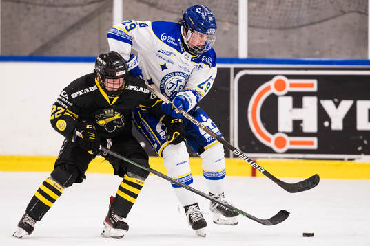 s Felicia Levin i kamp om pucken med Leksands Paige Lindsey