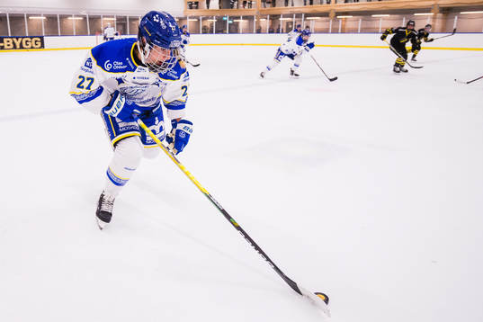 Leksands Katerina Bukolska