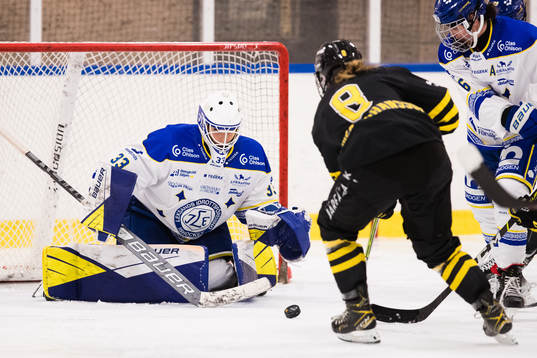 s Erica Uden Johansson