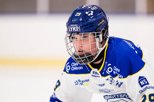 Leksands Paige Lindsey Agnew
