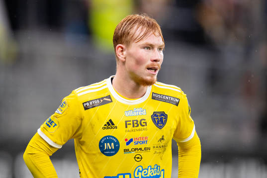 Falkenbergs Linus Borgström