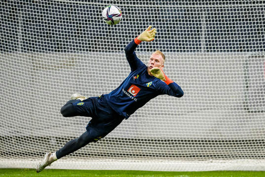 Goalkeeper Pontus Dahlberg of the Swedish national football
