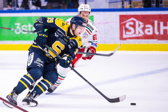 Södertäljes Brett Pollock