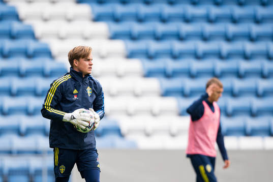 Goalkeeper Hannes Sveijer