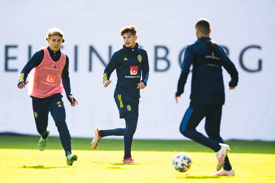 Sebastian Nanasi and Armin Gigovic