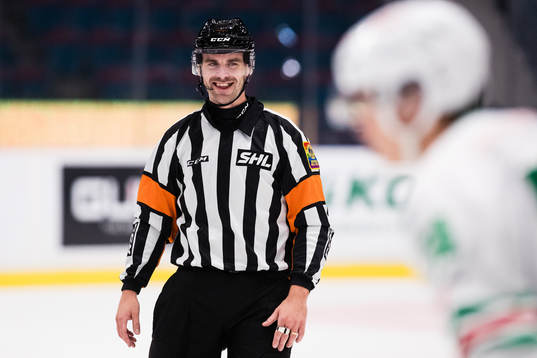 Domare Richard Magnusson