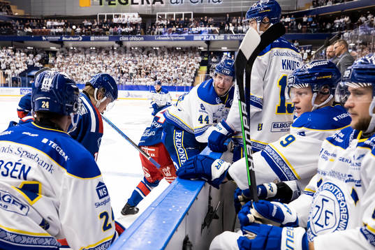 Leksands Carter Ashton