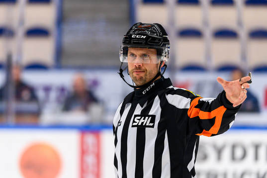 Domare Johan Magnusson