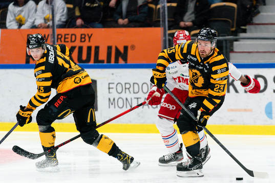 Skellefteås Adam Mascherin