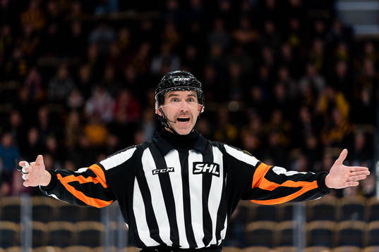 Domare Linus Öhlund