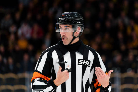 Domare Linus Öhlund