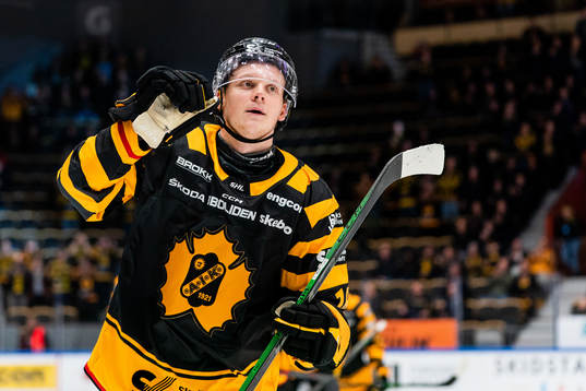 Skellefteås Linus Lindström jublar