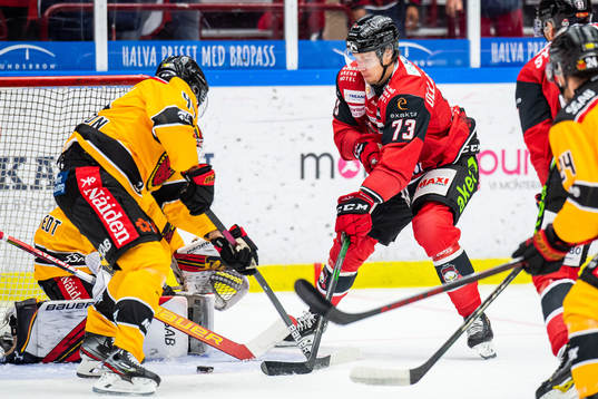 Malmö Redhawks Adam Ollas Mattsson och Luleås målvakt
