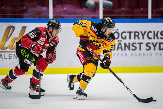 Malmö Redhawks Anton Olsson och Luleås Brendan Shinnimin