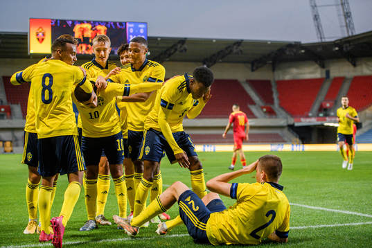 Emil Holm of Sweden in pain