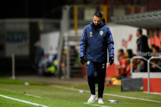 Head coach Poya Asbaghi of Sweden