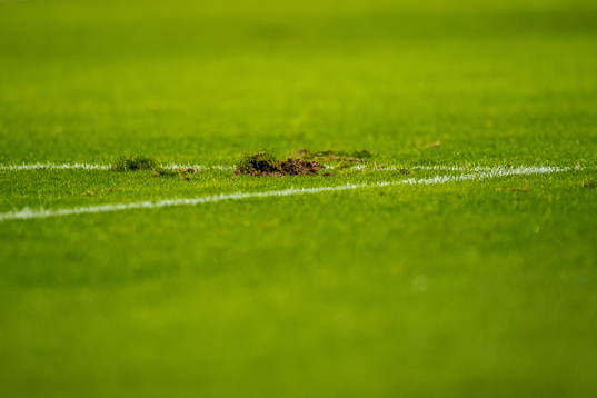 Lawn of Olympia