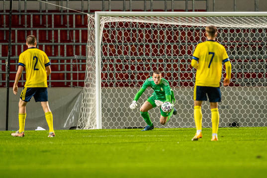 Goalkeeper Samuel Brolin of Sweden