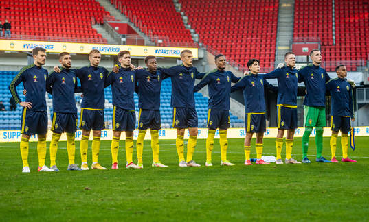 Players of Sweden