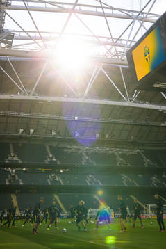 Players of the Swedish national football team