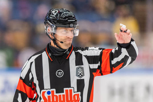 Domare Sören Persson
