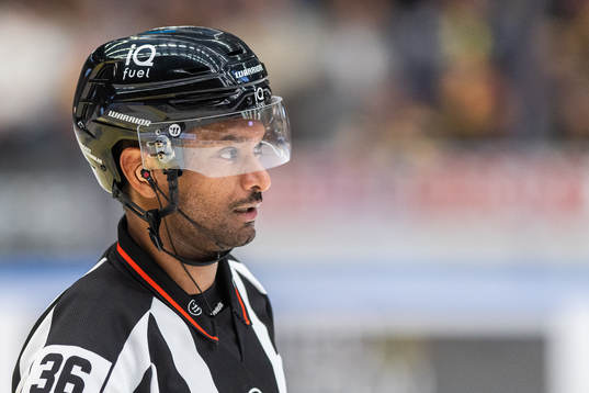 Domare Fredrik Rönnberg