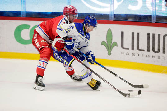 Timrås Albin Lundin och Leksands Mikael Ruohomaa