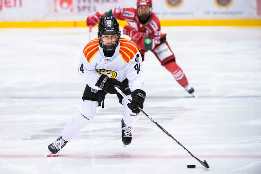 Brynäs Anna Meixner